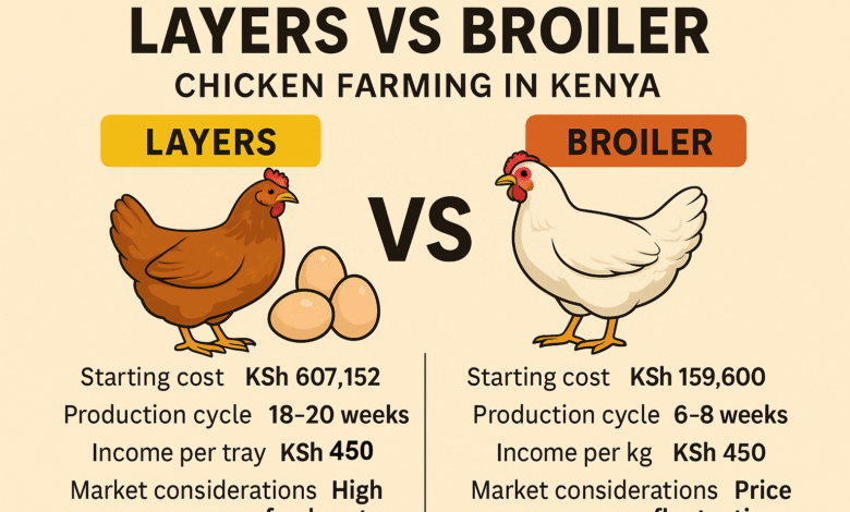How to start layers & broiler farming in Kenya 2026