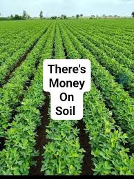 why lazy farmers make more money in 2026