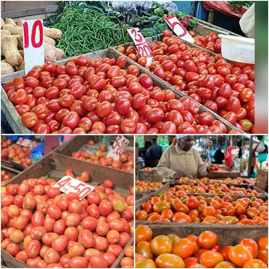 Tomato prices soar in Kisumu as heavy rains disrupt supply chain